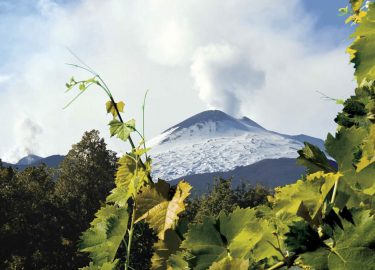Vino e territorio: il restyling del sito di Wine Tour in Sicily