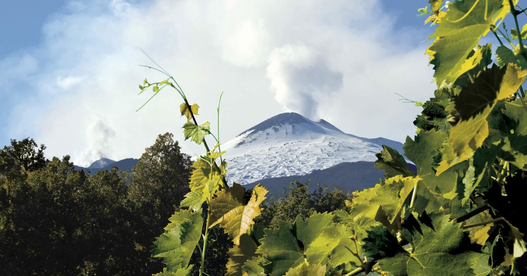 Vino e territorio: il restyling del sito di Wine Tour in Sicily