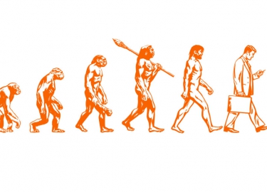 L'evoluzione della specie: e tu che albergatore sei? 3